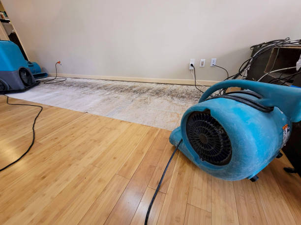 Reliable Basement Flood Cleanup contractor in Thurston, OH by Hirex Water Damage