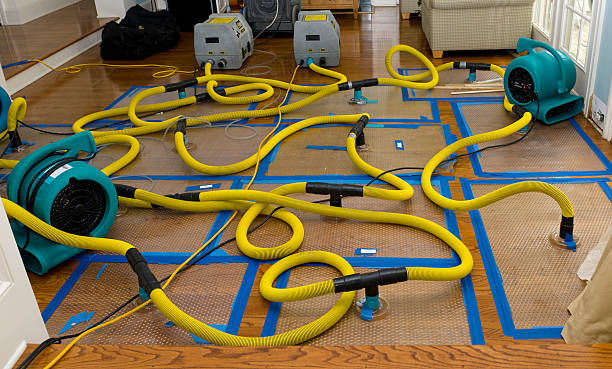 Professional Basement Flood Cleanup technician working in Thurston, OH